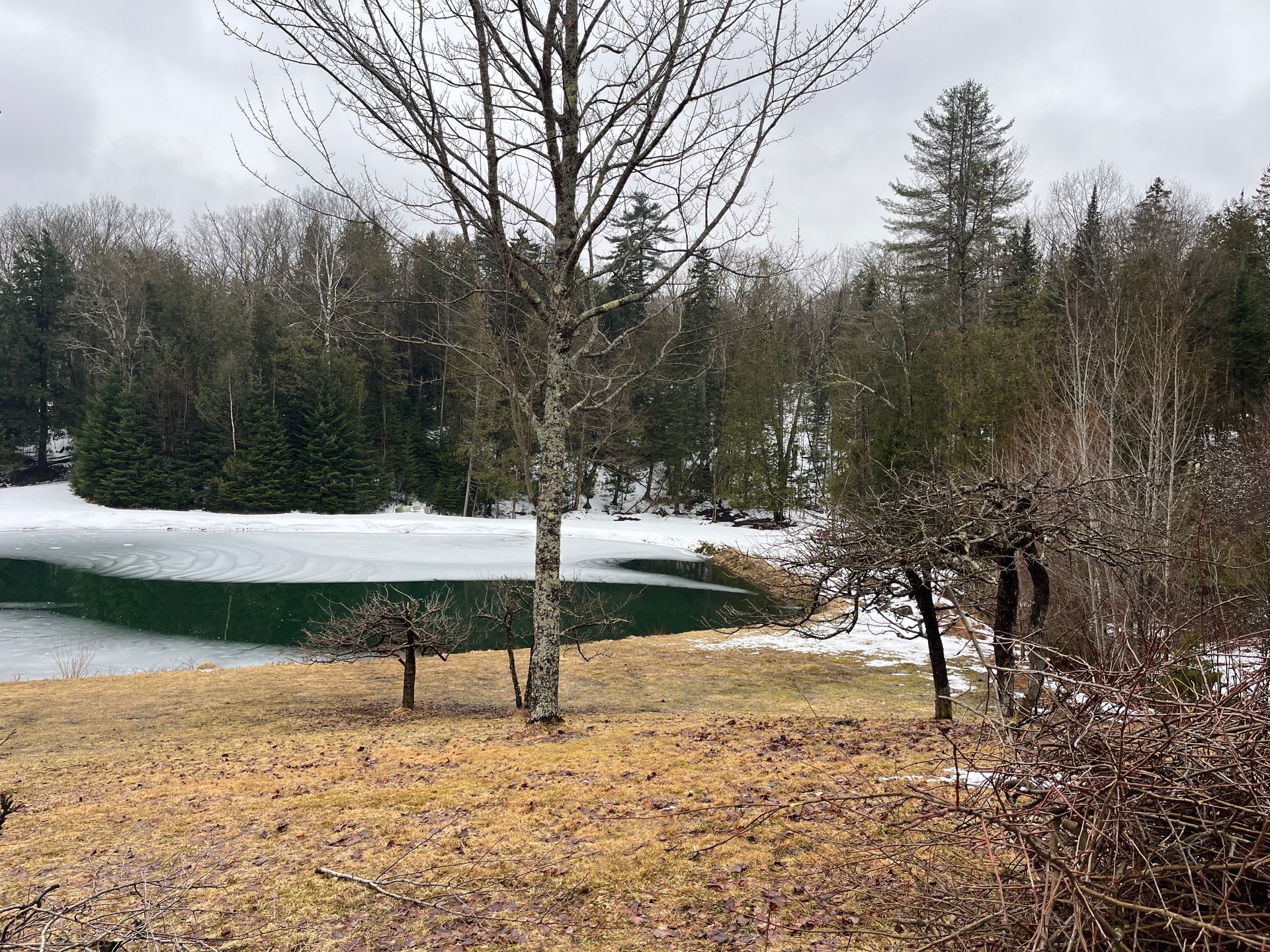 Early spring clean up completed by NEK Tree Workz