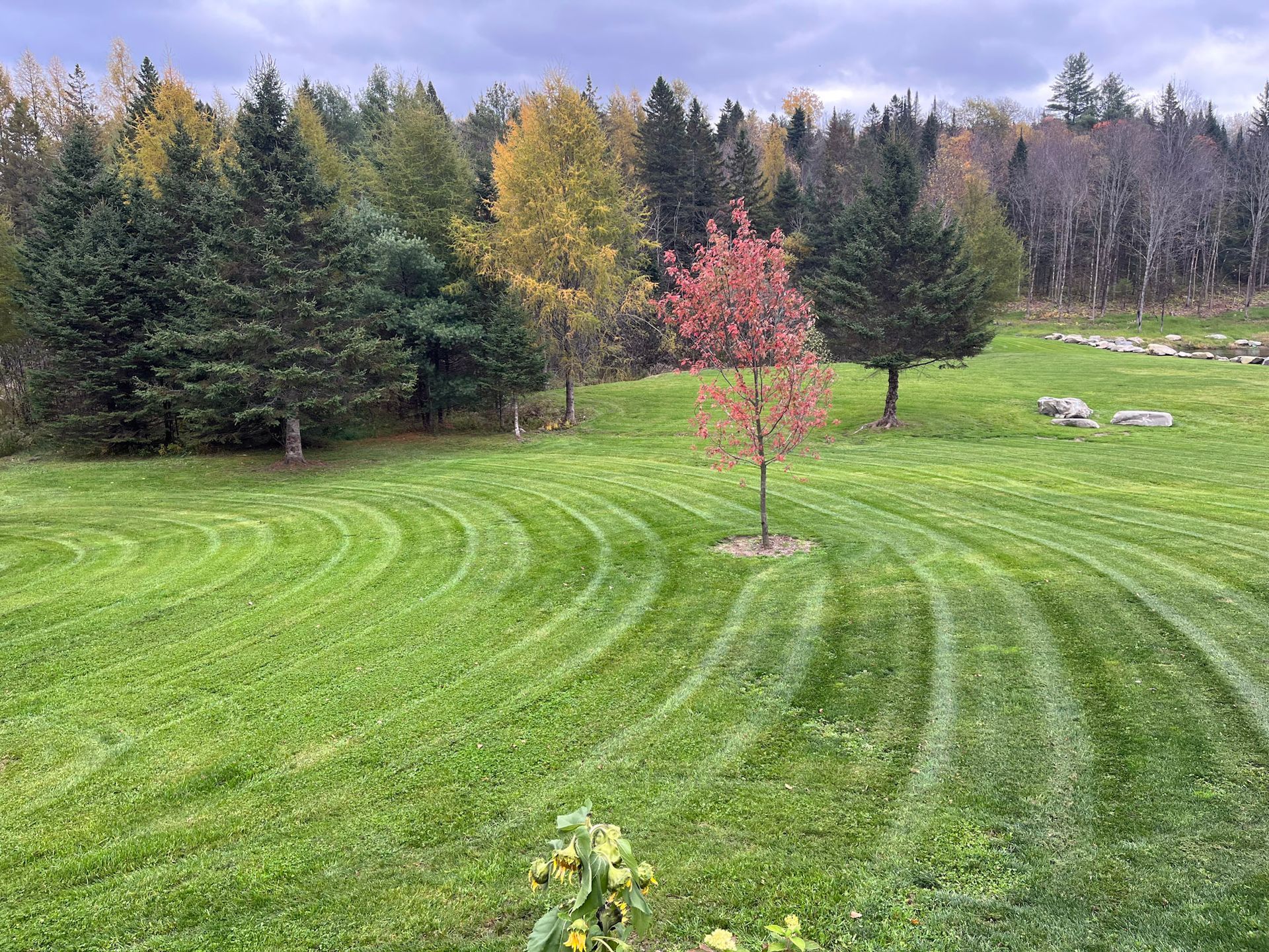 NEK Tree Workz lawn and landscaping completed for a residential client