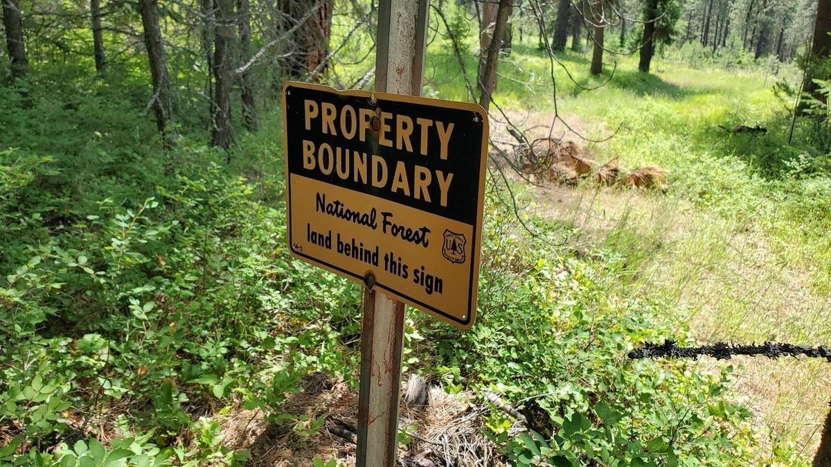 A yellow property boundary sign reading National Forest land behind this sign, on a tree at the edge of a wooded parcel