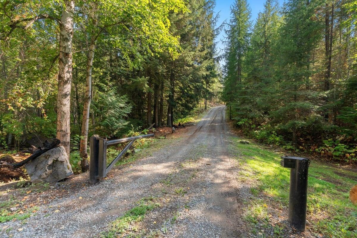 A gravel driveway with a gate running into tall timber