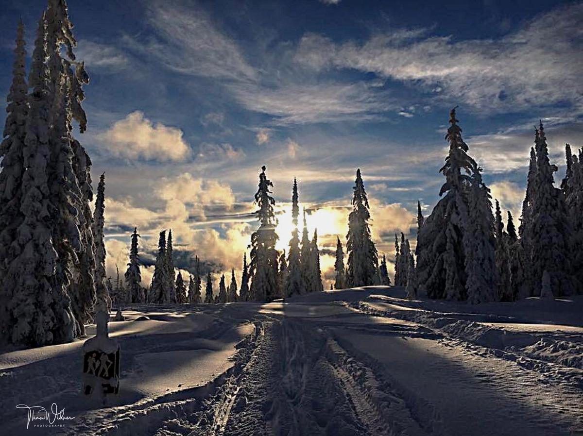 A snow-covered forest road at sunset with heavy snow on the trees