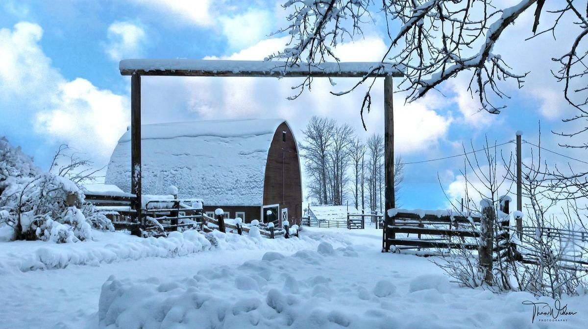 A log gateway and barn under deep snow with a bright blue sky