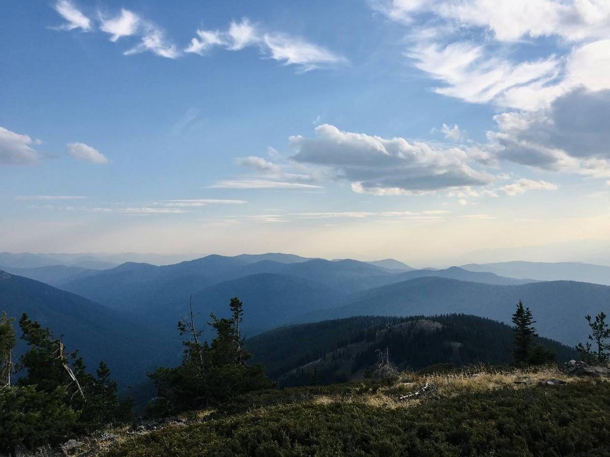 View from Clifty Peak looking across ridgelines of the Selkirk Mountains at golden hour