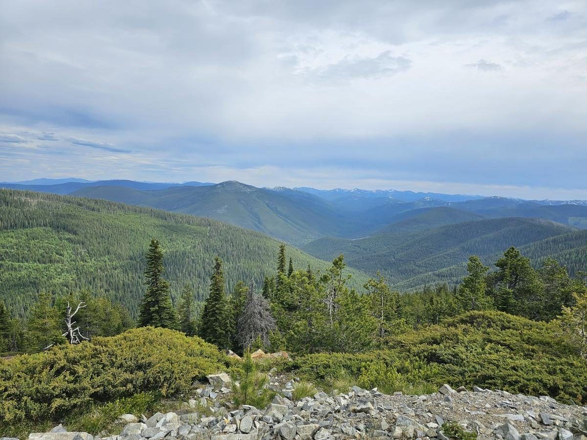 Granite rocks on a Selkirk summit with ridgelines fading into the distance