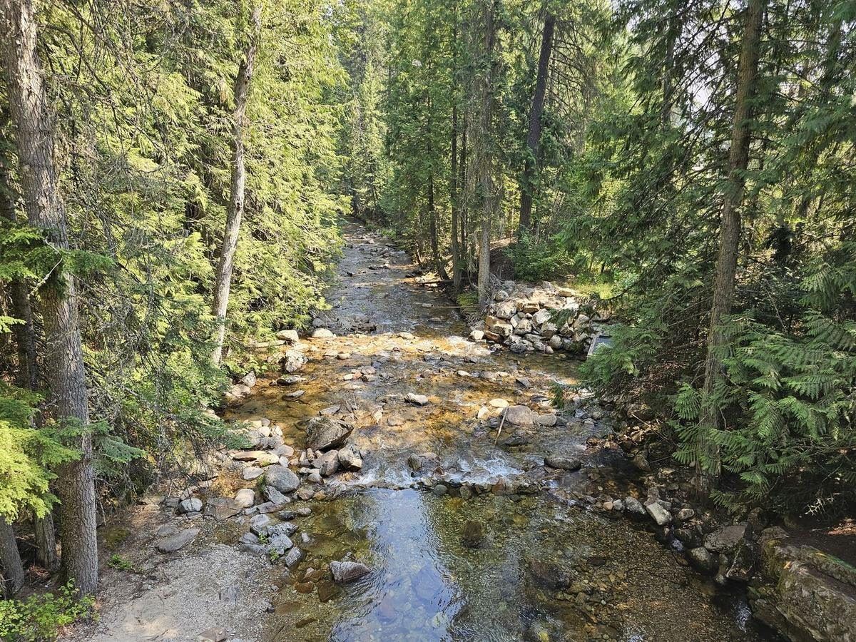 A clear mountain creek running over rocks through dense forest in summer