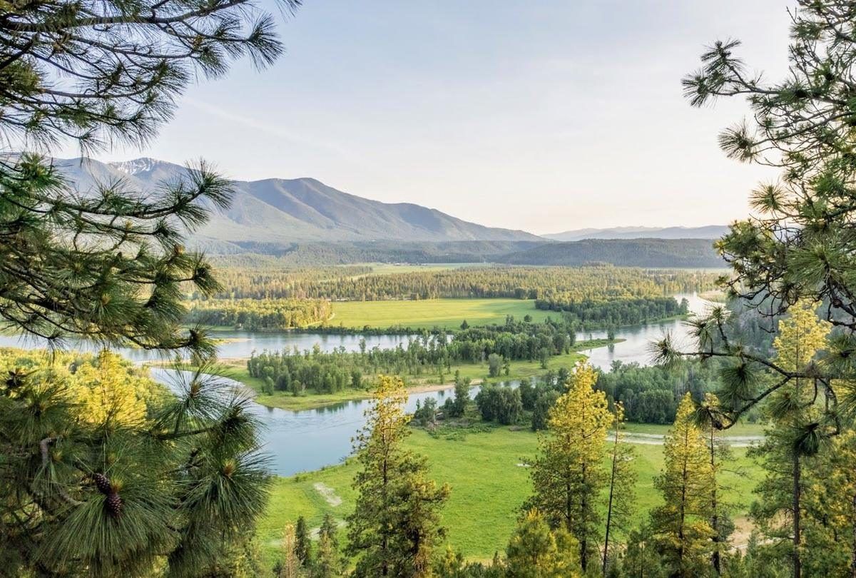The Kootenai River valley seen through ponderosa pines from the bench above Bonners Ferry