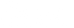 SPINELLI PAOLO & SILVIO SRL - GOMMISTA E AUTO - LOGO