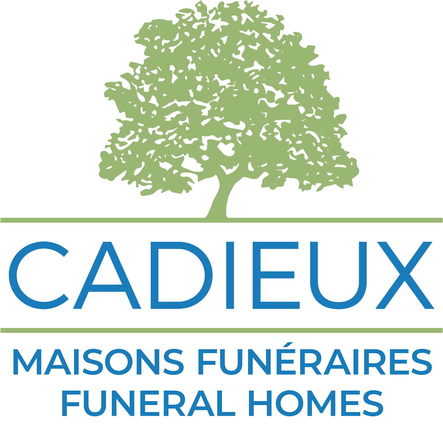 logo-image