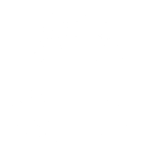 logo-image