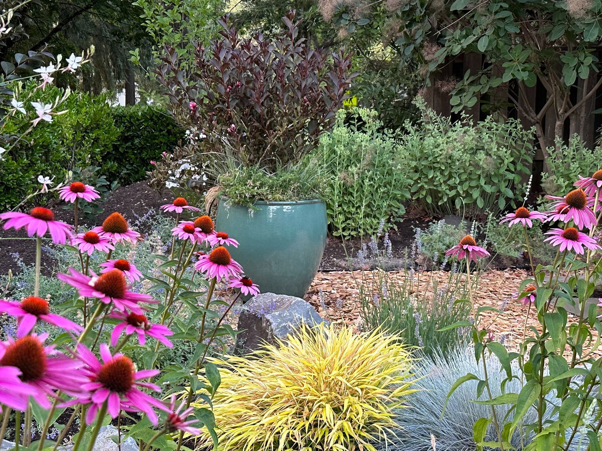 focal point pot with flowering perennials