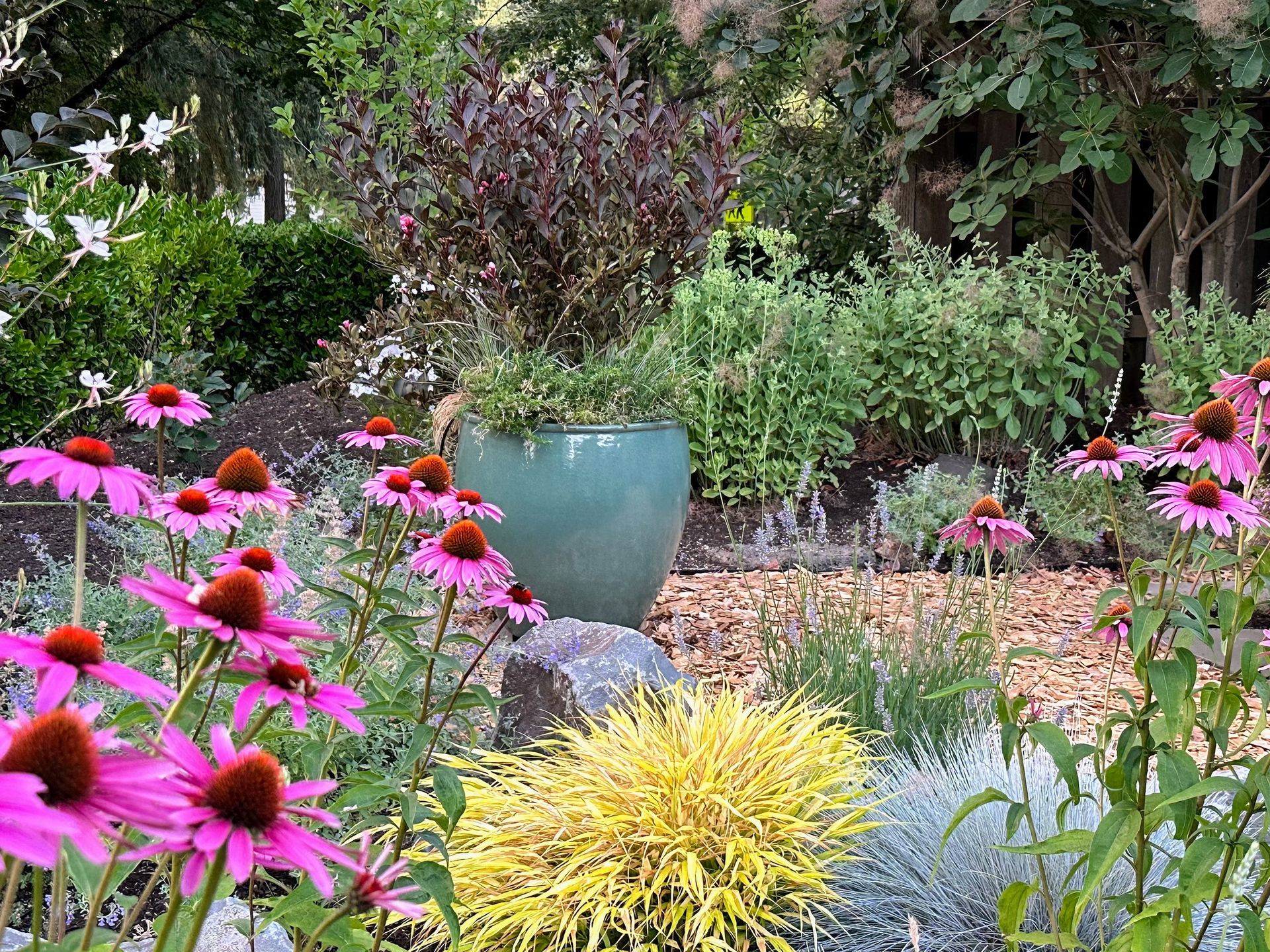 colorful container natural bark chip pathway pollinator friendly plants