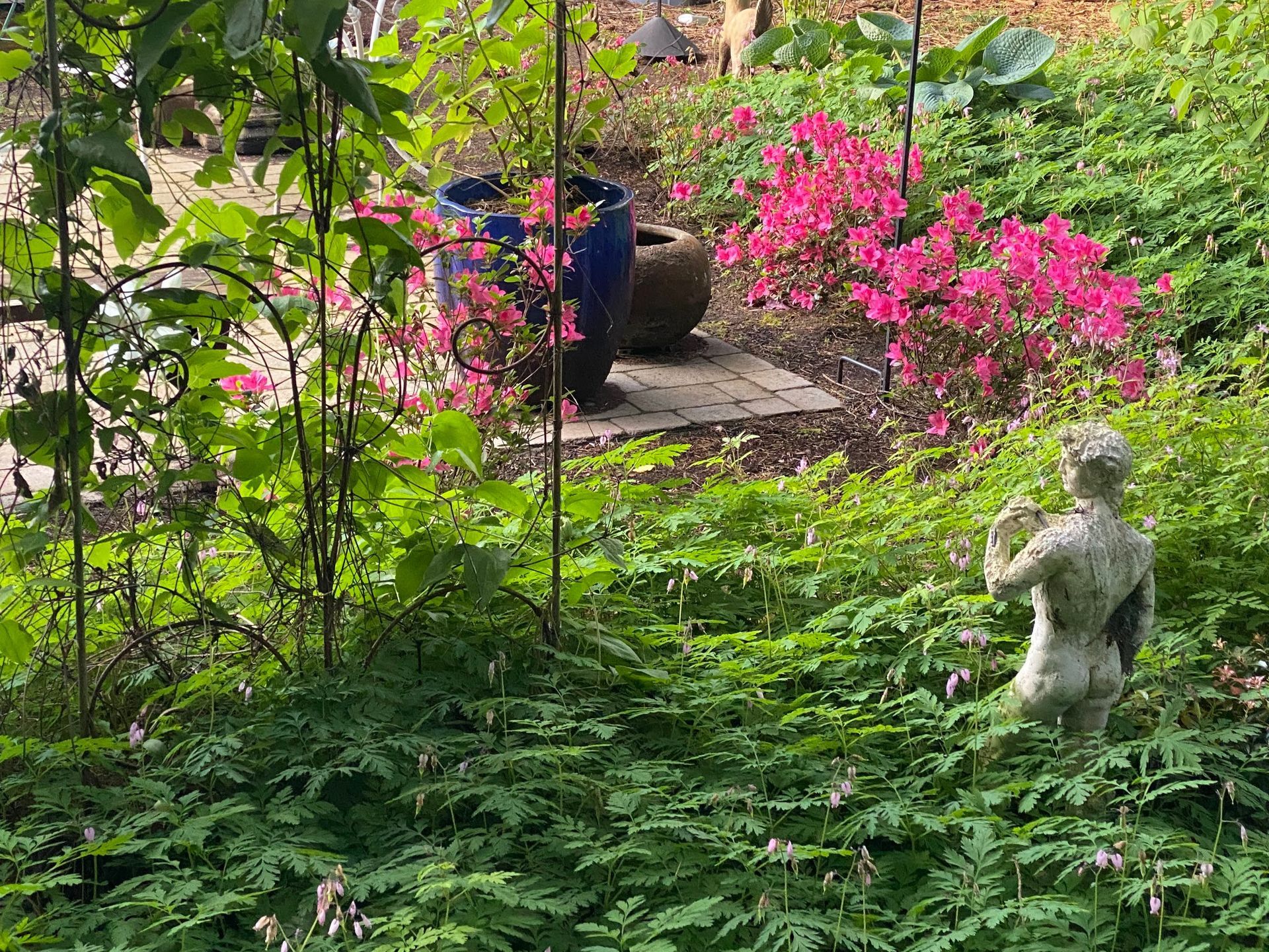 woodland retreat backyard with jewel toned flowers