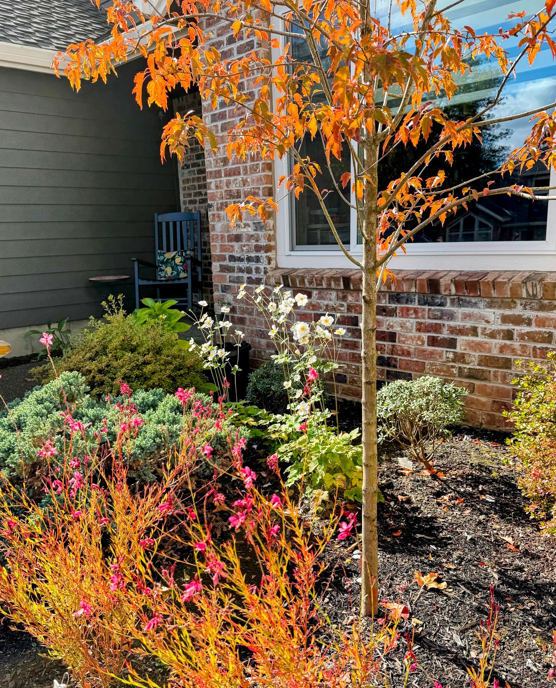 diy client project with vegetable garden and flowers