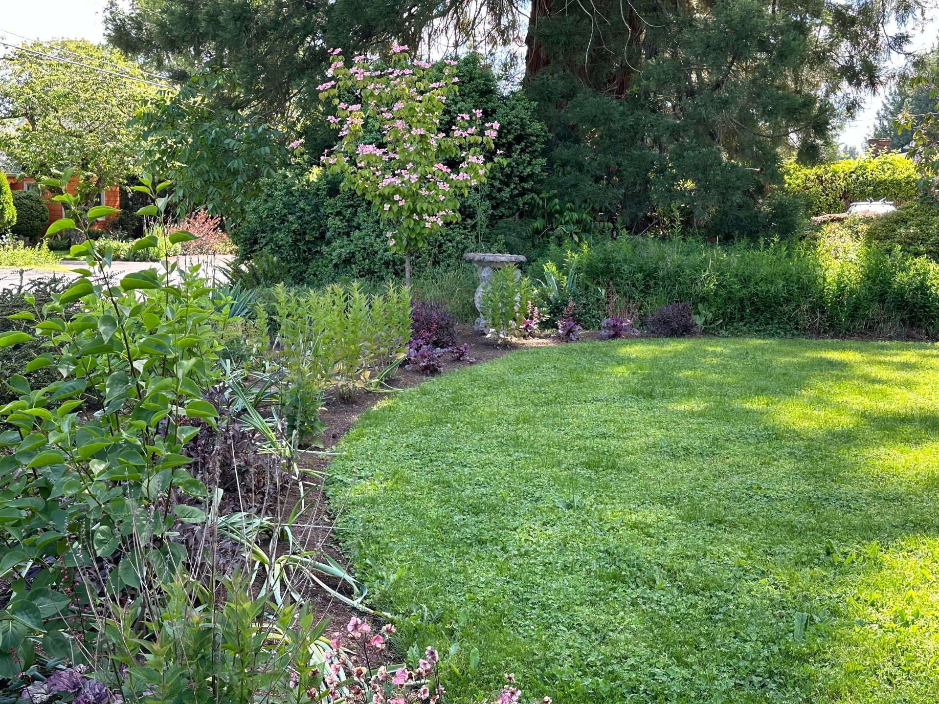 reshaped front lawn with shrubs and trees in jewel tones birdbath
