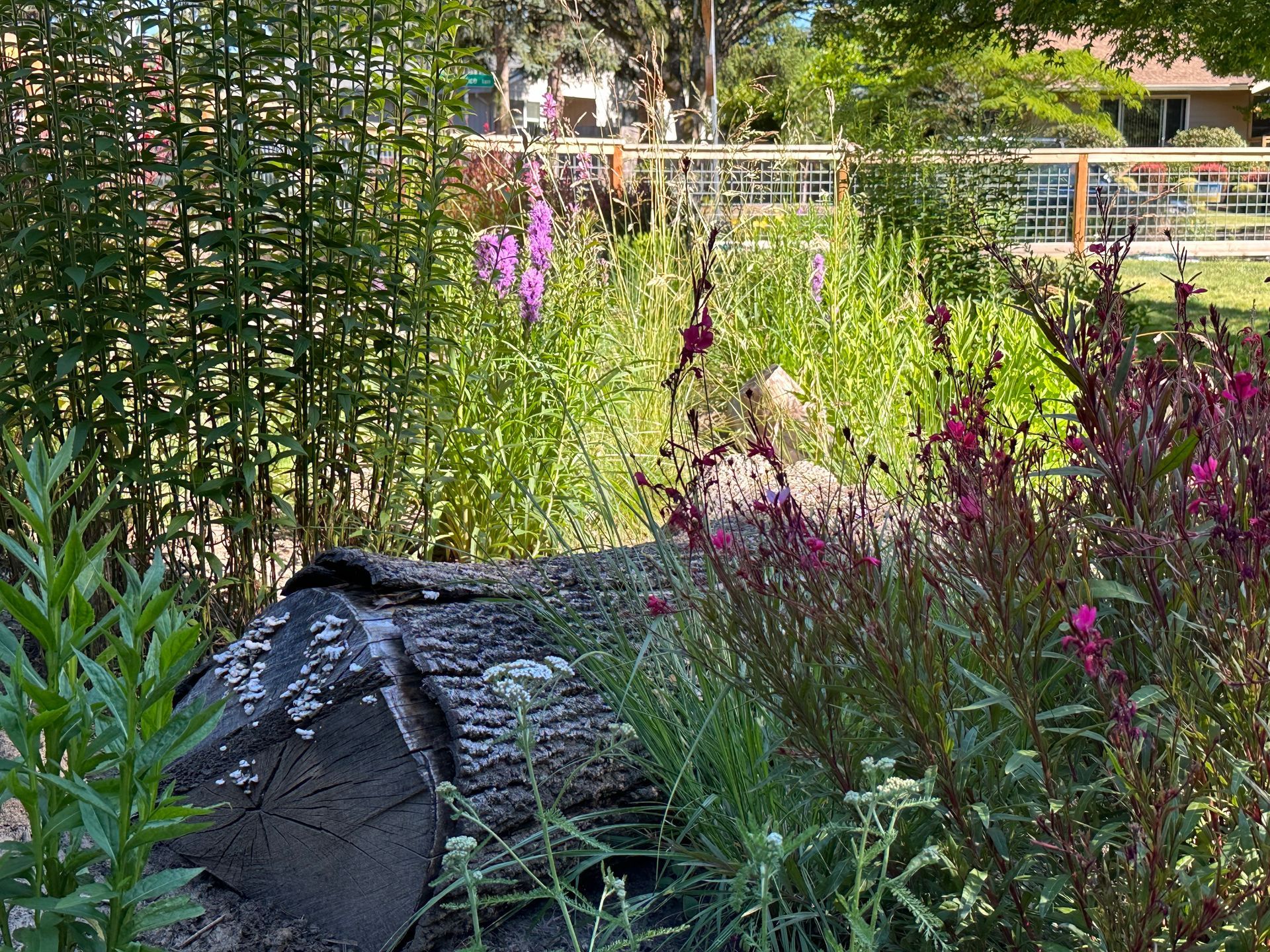 habitat log in pollinator garden design