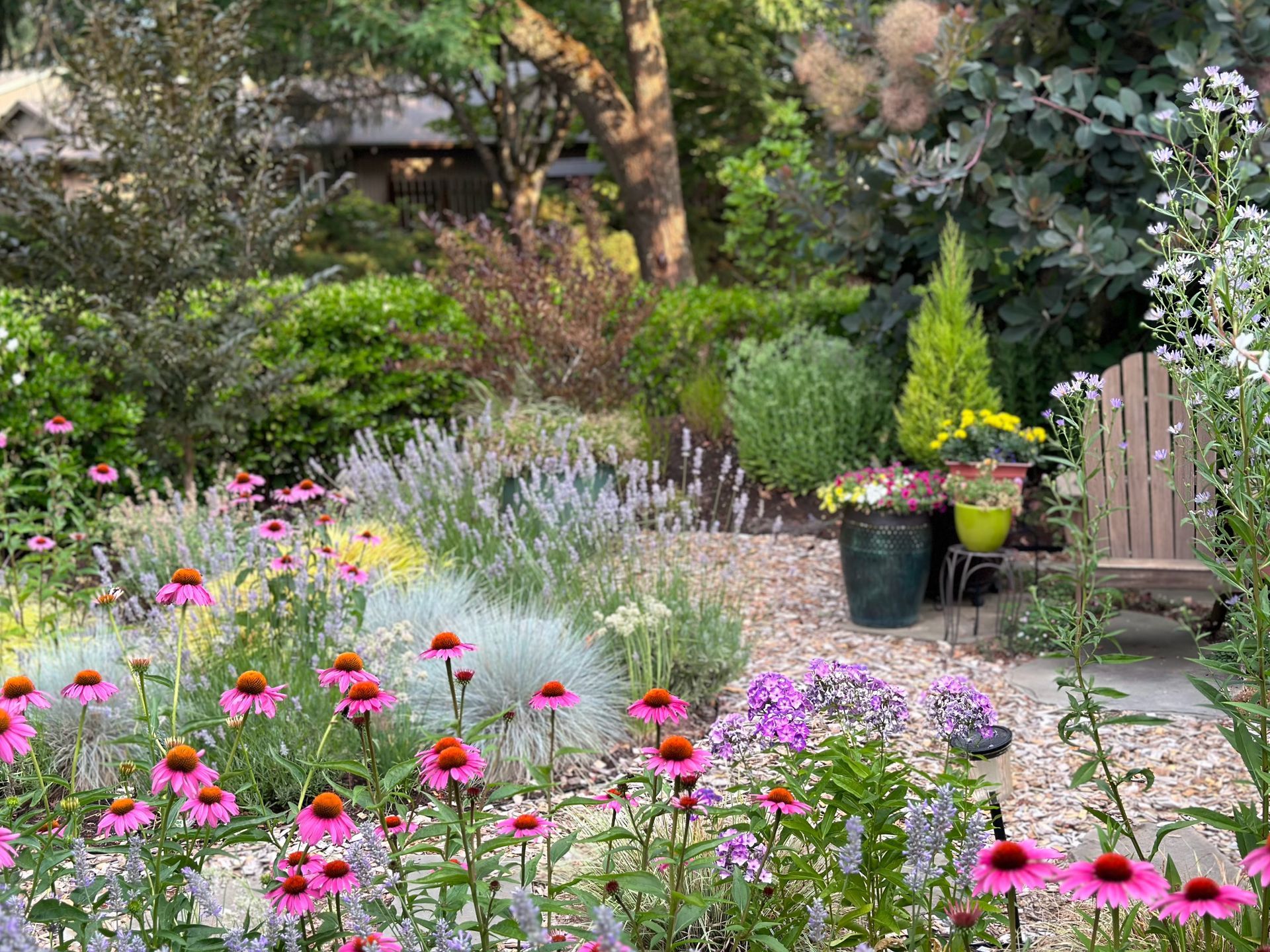 front yard no lawn cottage garden flowering landscape