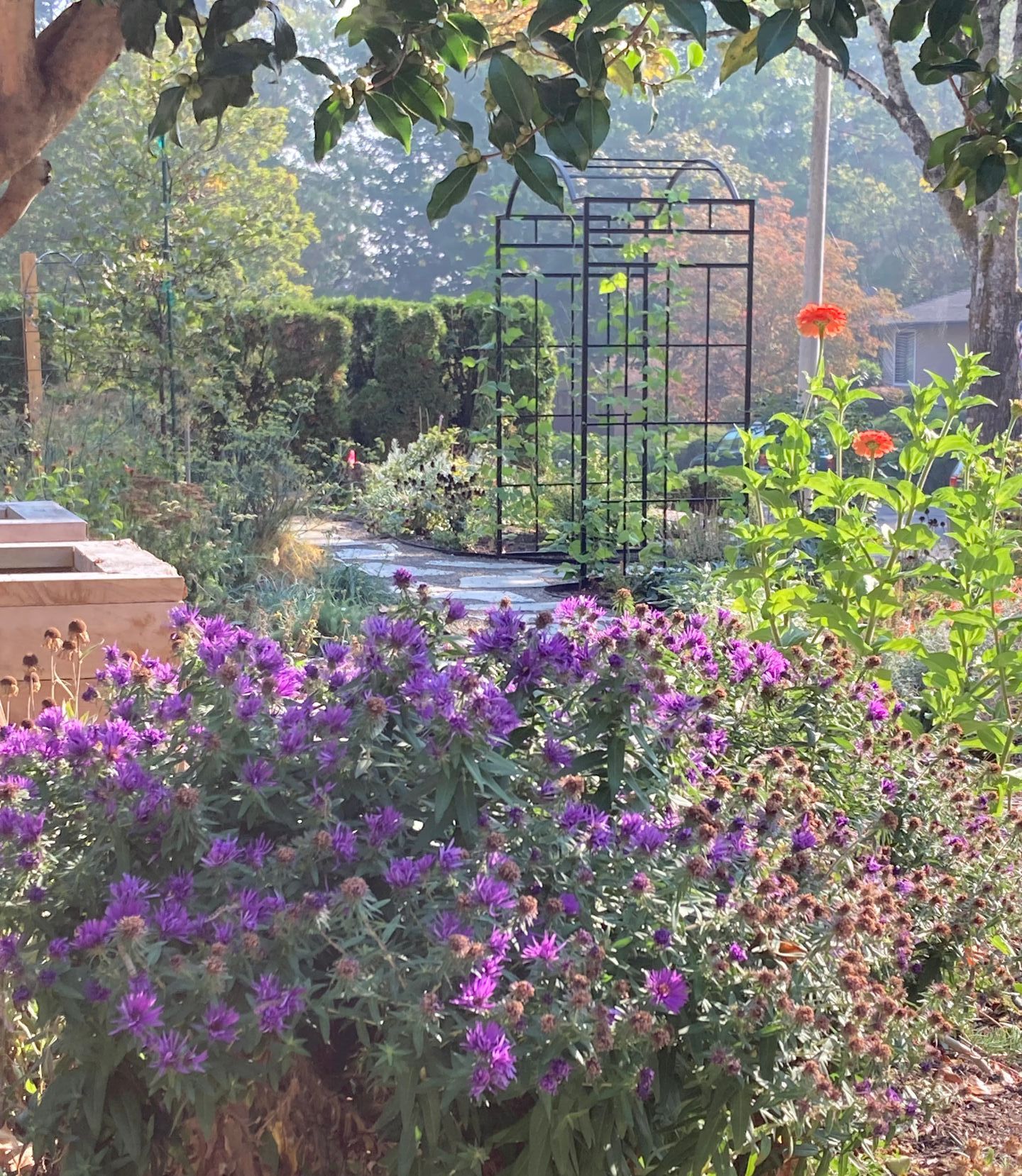 permaculture design with pathway and raised vegetable beds