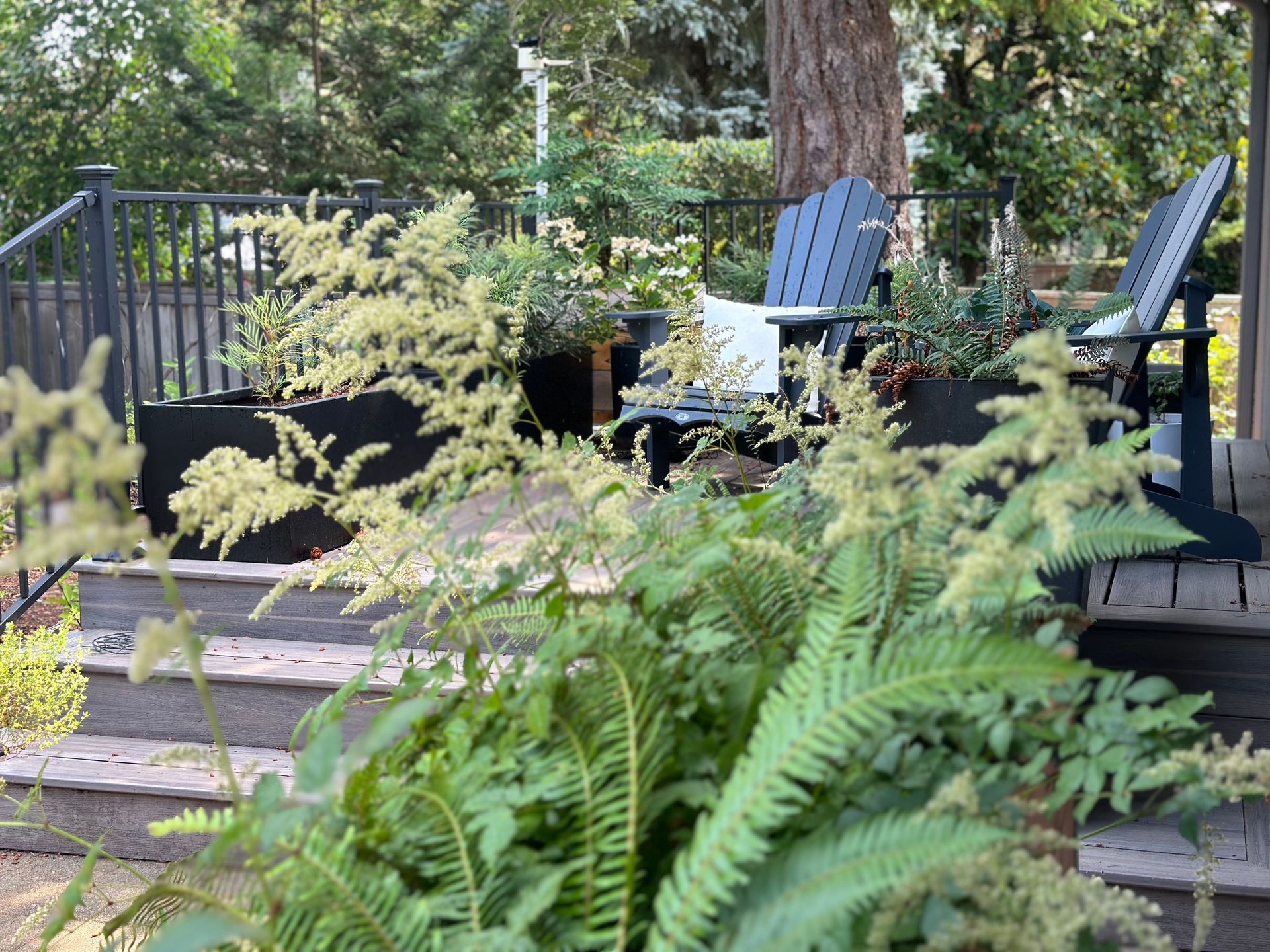 Adirondack seating with ferns and shade plants fiberglass planters