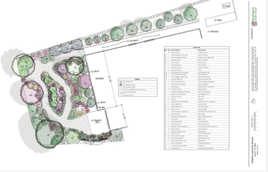 Backyard pollinator design plan with drought tolerant plants and natural design elements
