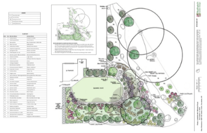 backyard habitat certification design plan with oregon pacific northwest native plants rain garden habitat features