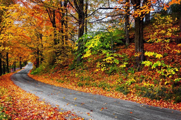 It&rsquo;s Almost Fall! Time To Think About Your Coolant