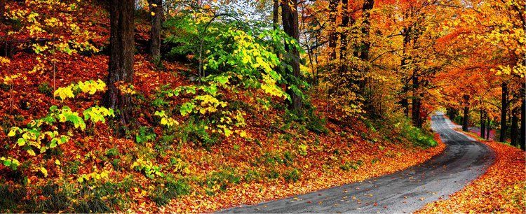 Fall Road Trips