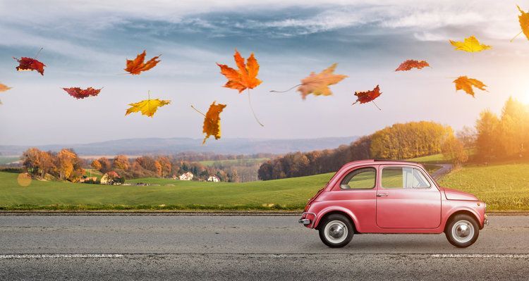 Don’t Let Your Thanksgiving Road Trip Be A Turkey