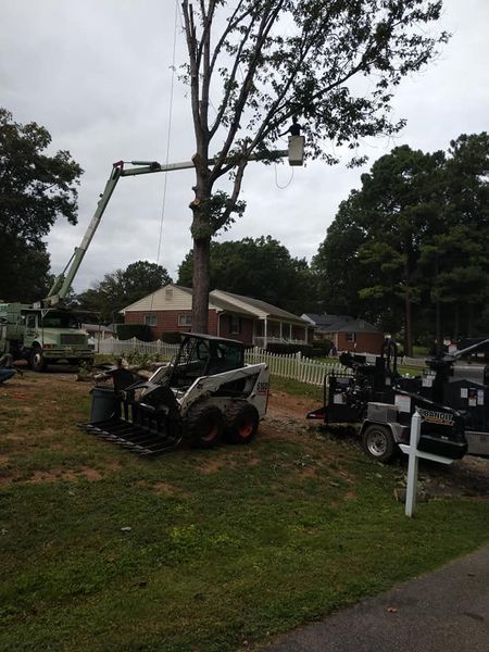 Workers in bucket lifts trimming a tall tree beside a house on a grassy lawn