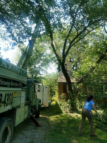 Person clearing a yard beside a truck under tall trees, with a small house in the background