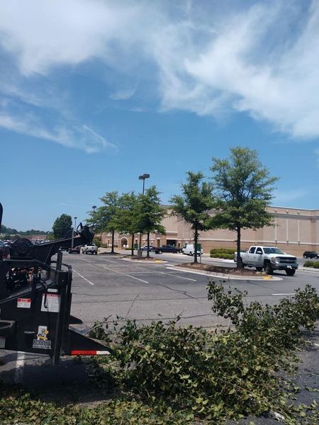 Parking lot with a beige building, trees, cars, and a blue sky with wispy clouds
