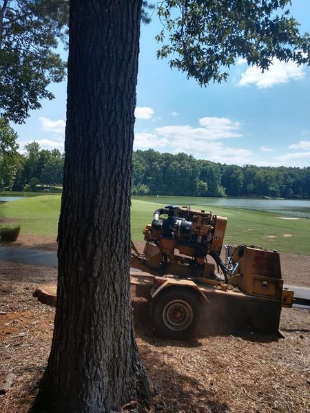 Large tree trunk in foreground with a yellow loader parked on a grassy lakeside field under a blue sky.