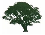 Silhouette of a leafy tree with a wide canopy and thick trunk on a white background