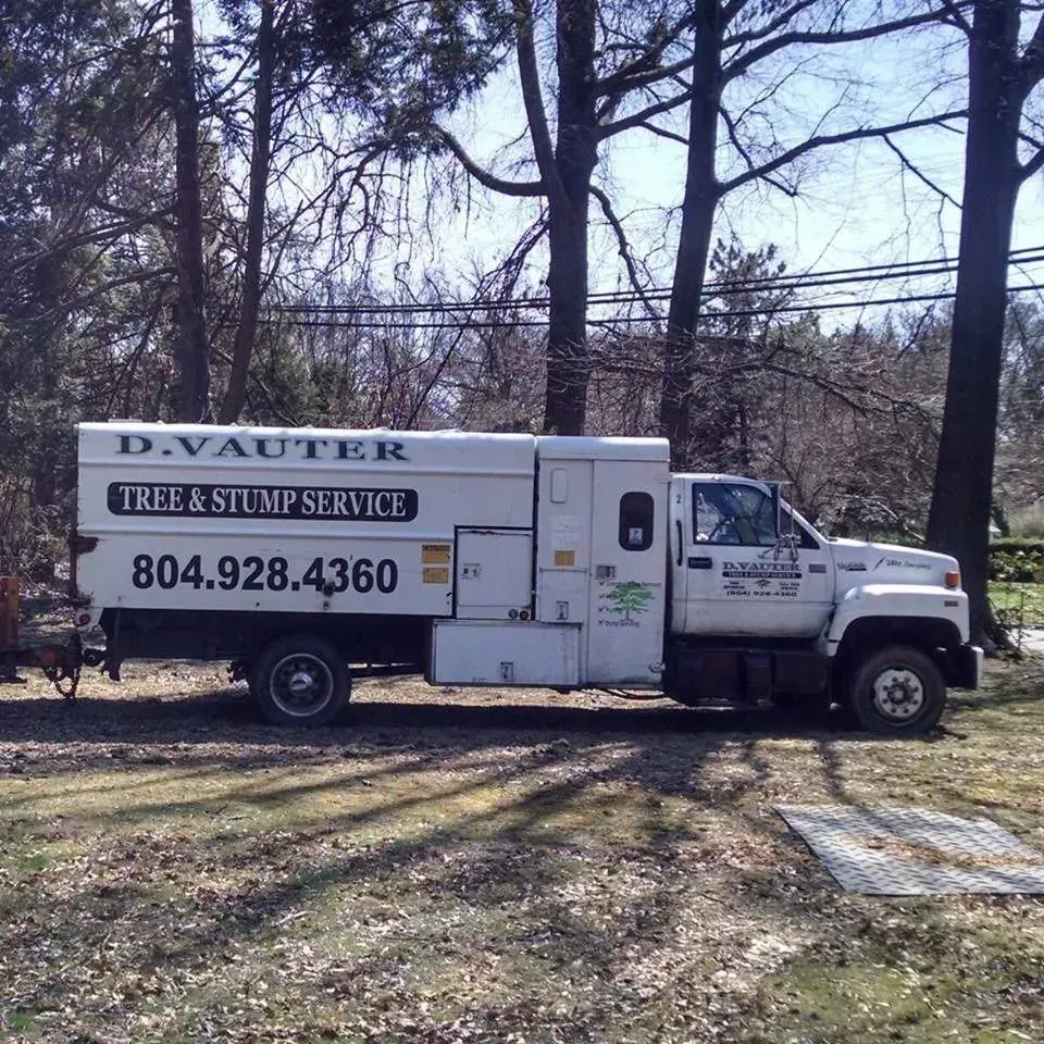 White utility truck with tree service signage parked on grass among leafless trees