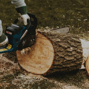 Person using a chainsaw to cut a large log outdoors