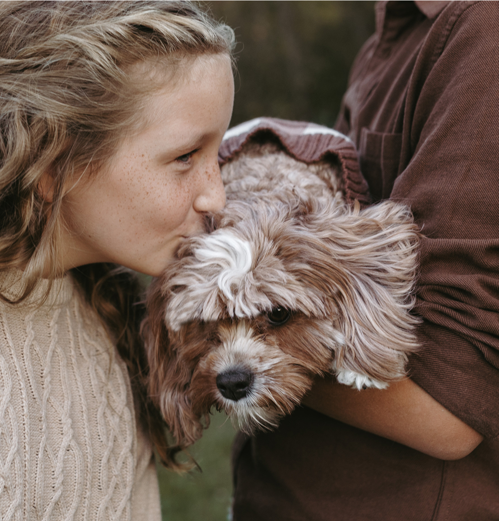 Cavapoo and girl, Cavapoo Puppies for sale, cavapoo