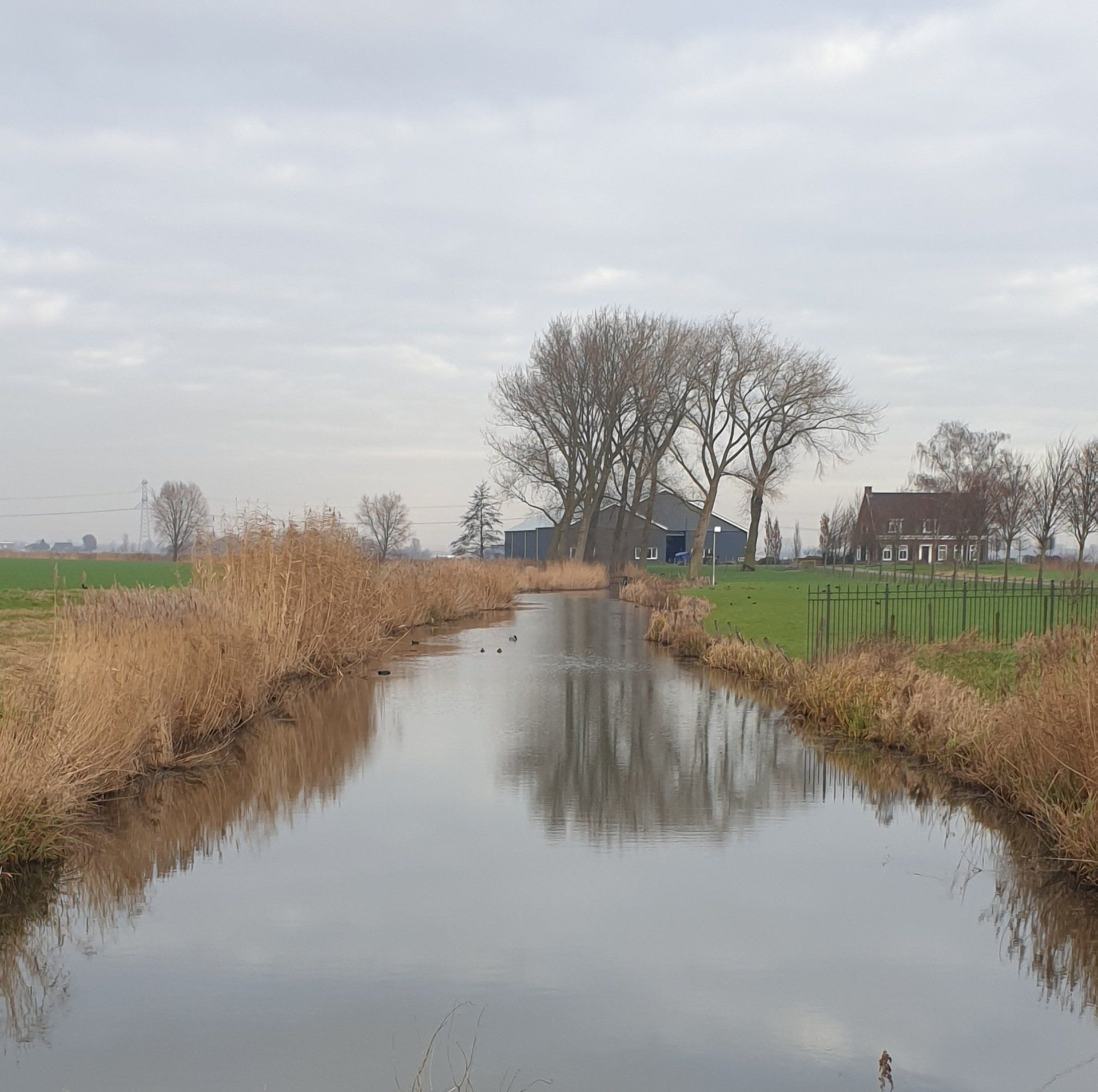 locatie bevallingsworkshop
