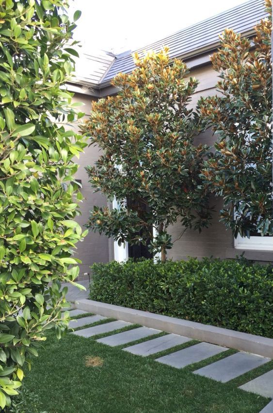 Landscaped front yard with trimmed hedges, stepping stones, and trees beside a house