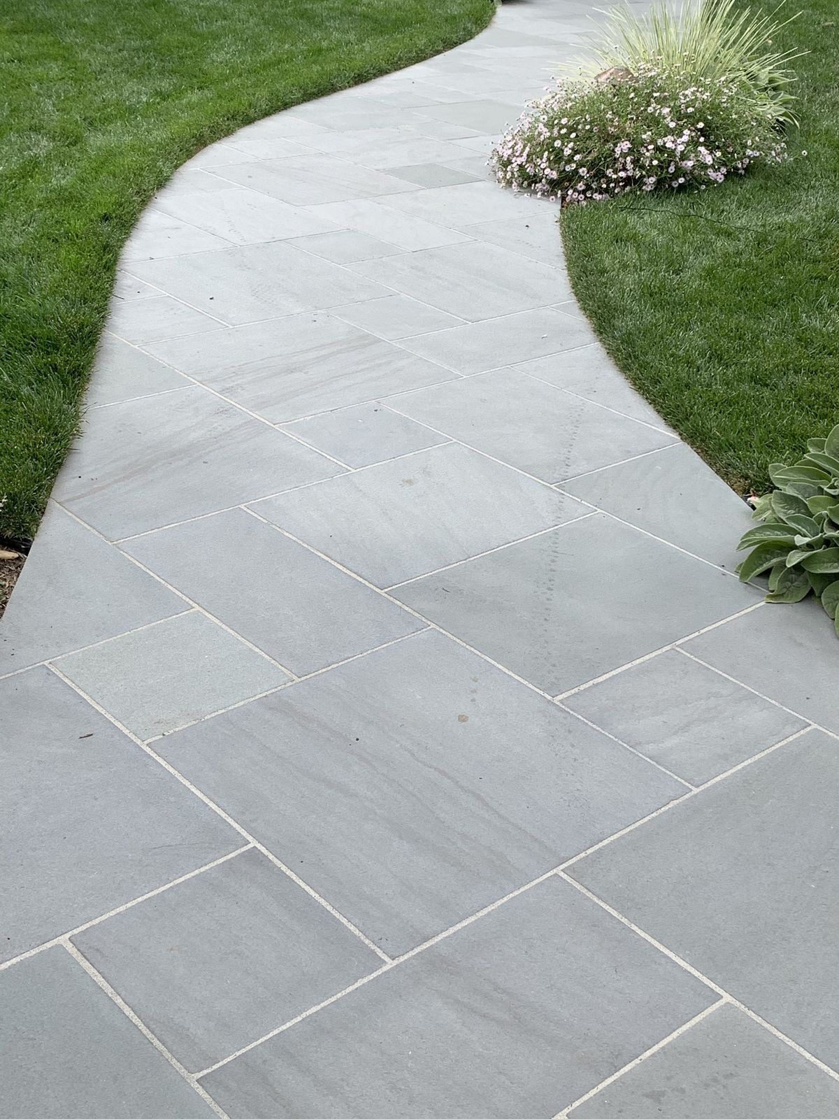 Curved light-gray stone garden path bordered by green grass and shrubs