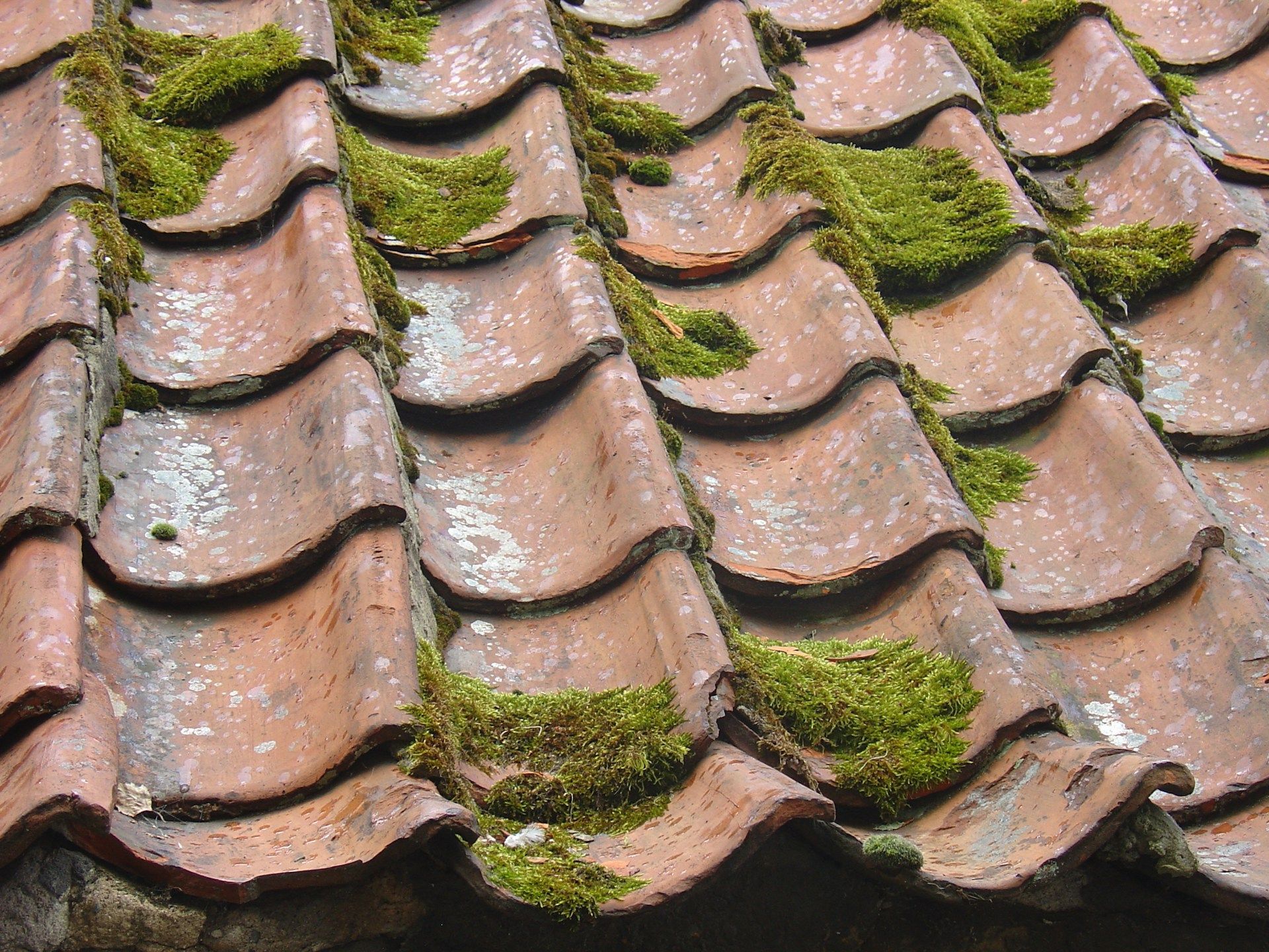 Cracked Roof Tile