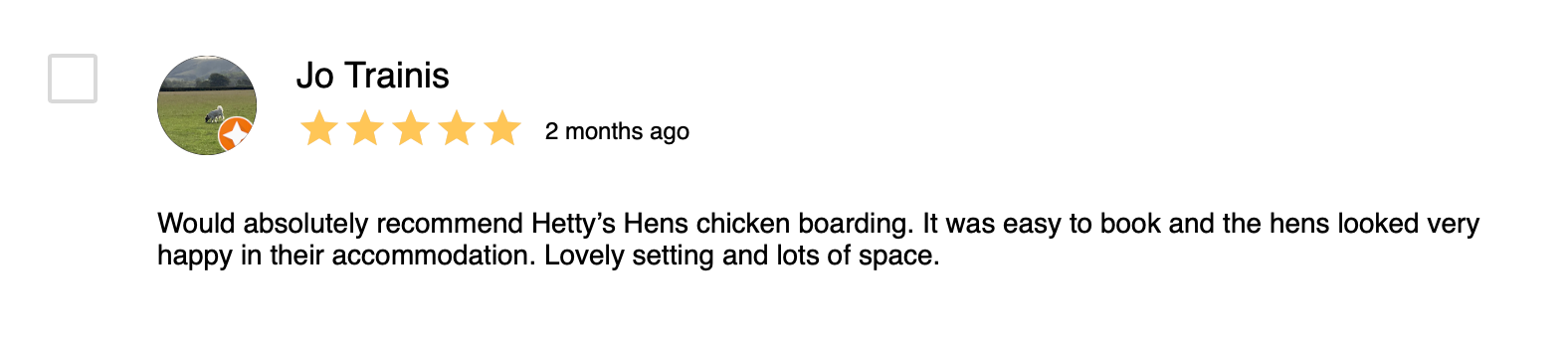 google hen boarding review
