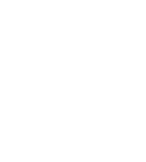 NLR A&P logo