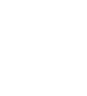 NLR Logo