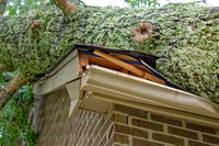 A large tree has fallen onto the roof of a brick house, crushing the edge, fascia, and gutter.