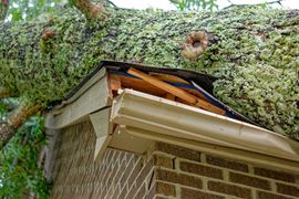 Tree branch fallen onto a house roof, causing visible damage to the structure.