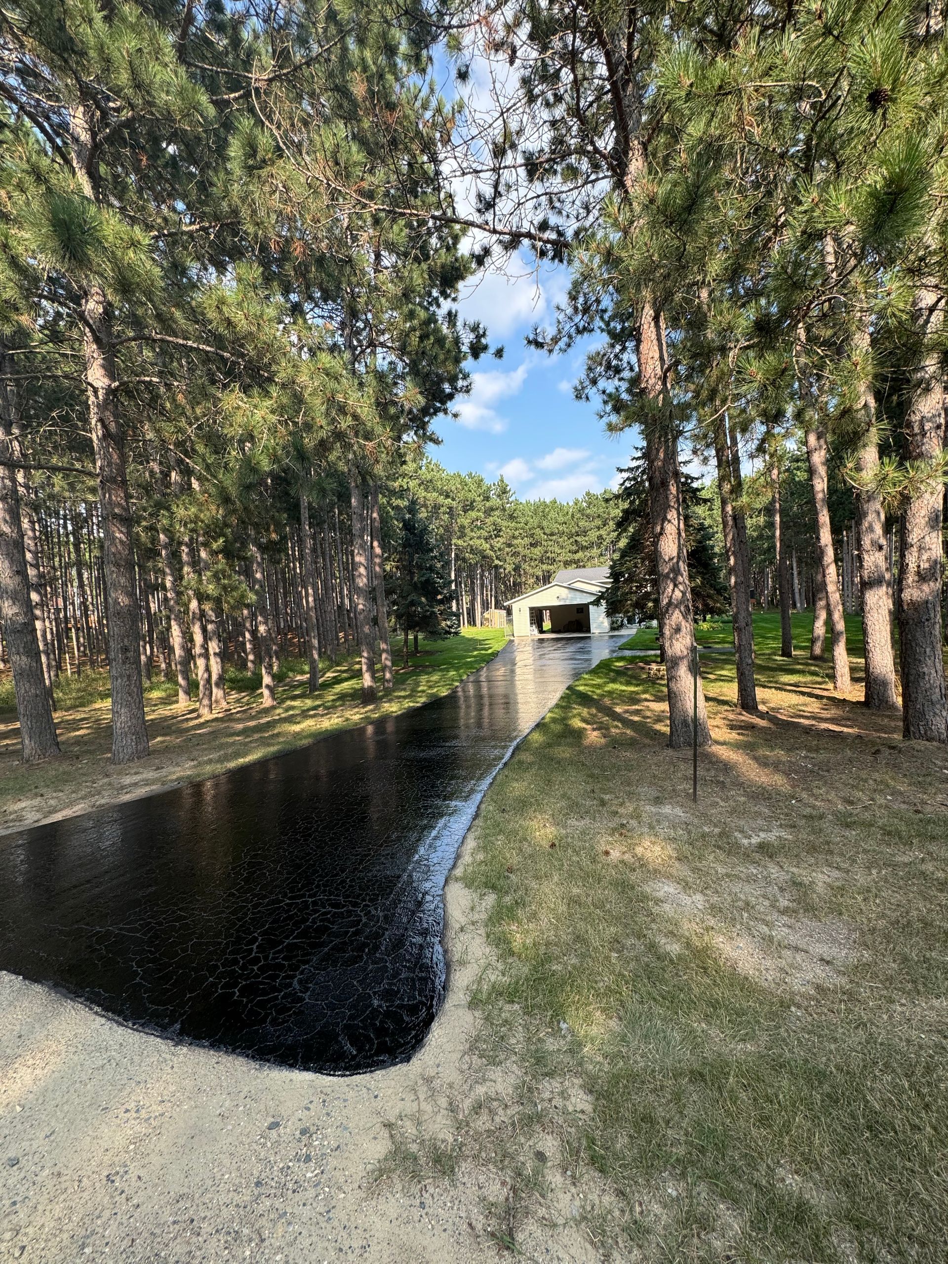 A river in the middle of a forest with a bridge in the background.