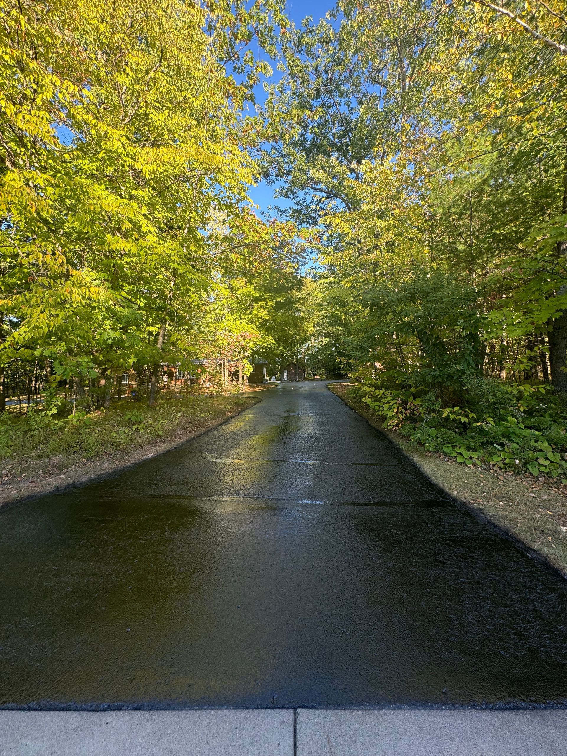 A black asphalt driveway surrounded by trees on a sunny day.