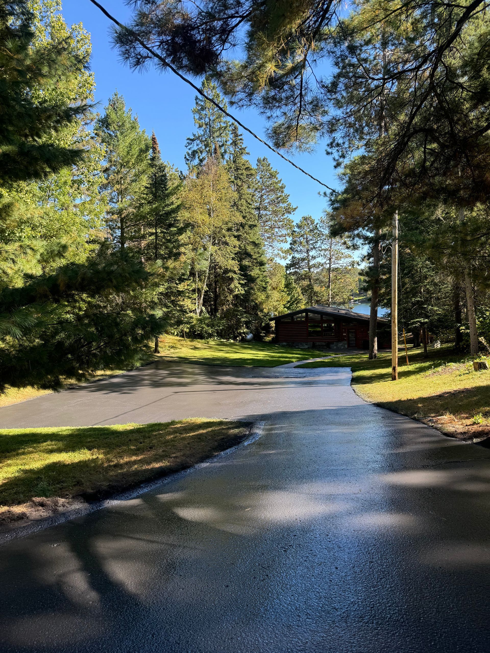 A driveway leading to a house surrounded by trees