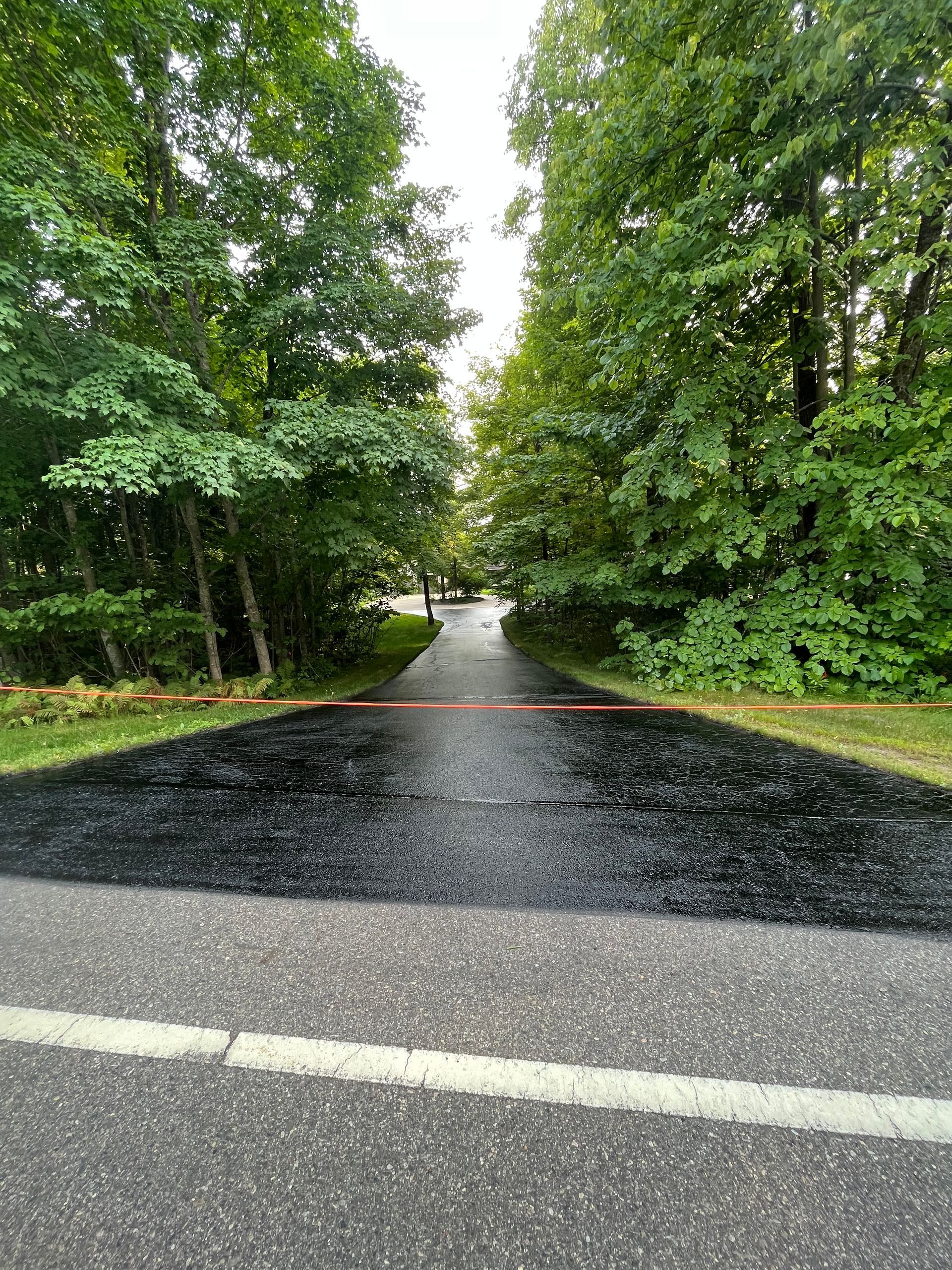 A black asphalt driveway surrounded by trees on a rainy day.