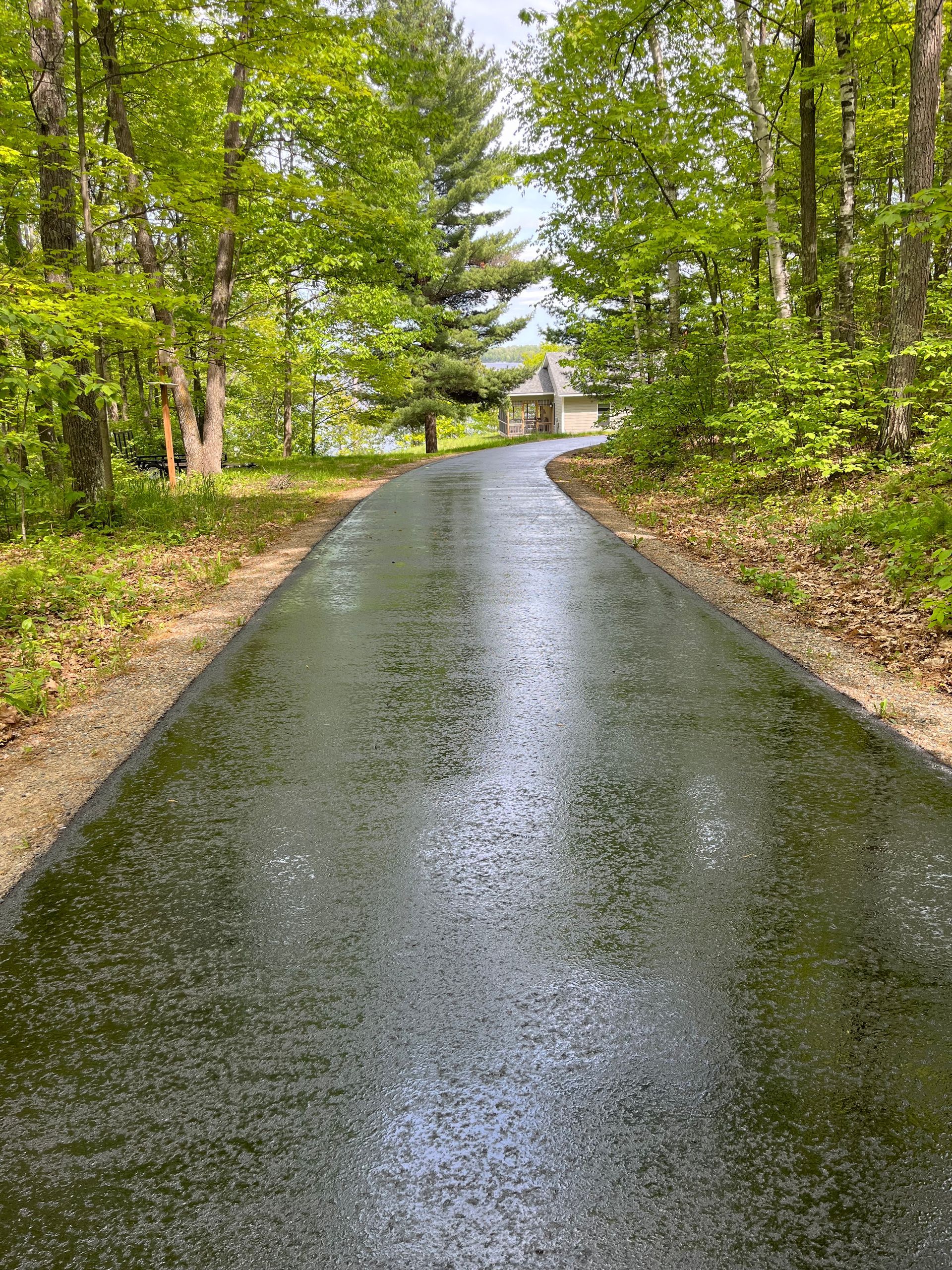 A road going through a forest with trees on both sides.