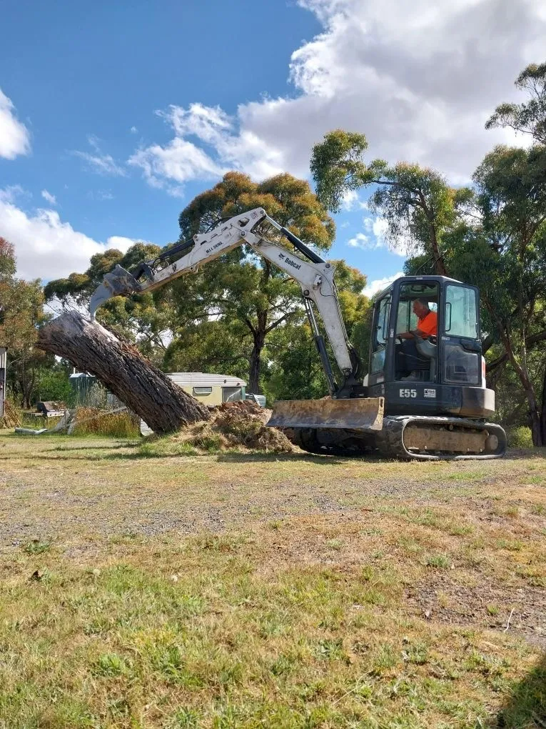 An Excavator Moves Branches Off the Forest Floor | Geelong, Vic | Don Barry’s Bobcat Hire